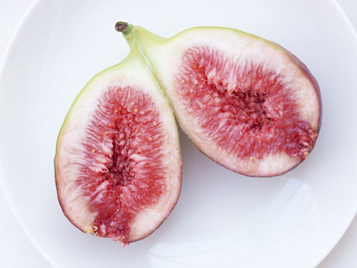 中高年シニアが既婚者や熟女とセックスできる出会い系!