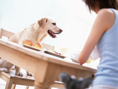 シニア・中高年でもセフレが作れる出会い系サイト!