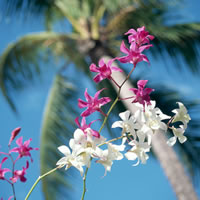 中高年シニアがセフレと出会う為の出会い系!